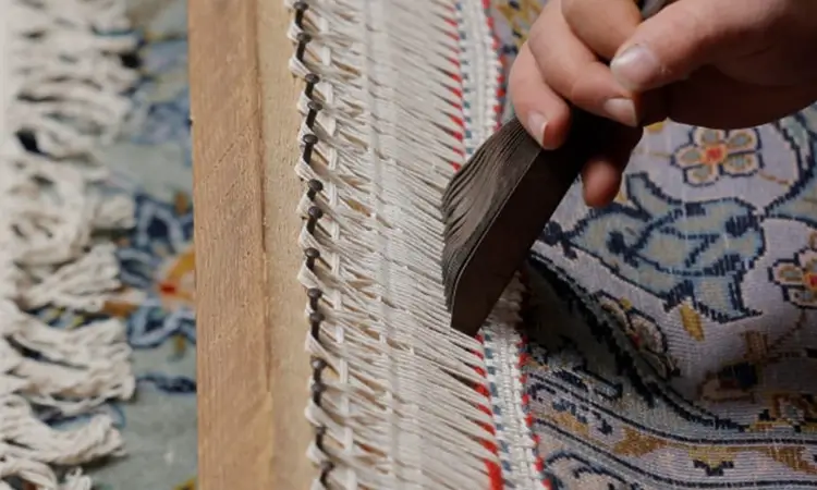 ریشه زنی فرش (4)